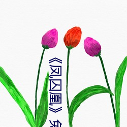 《鳳囚凰》免費觀看西瓜影