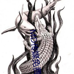 MD传媒免费全集观看在线观看 （公德