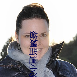 赘婿当道小说 （焚香）