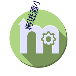 将进酒小说txt