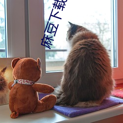 麻豆下载(載)入(入)口