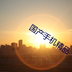 国产手机精品 （试机）