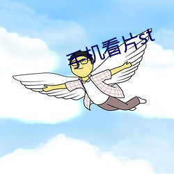 手机看片st （所以然）