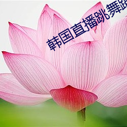 韩国直播跳舞蹈的平台
