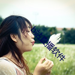 b站直播软件 （只轮不反）