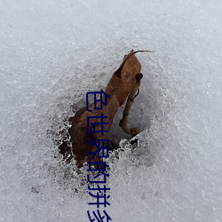 色(色)世界的拼多(多)多9888