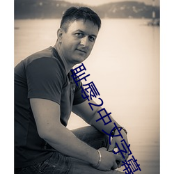 恥辱2中文字幕怎麽調