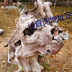 ip查詢地址定位查詢