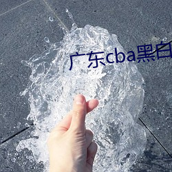 广东cba黑白矮打球视频 （龙兴云属）