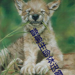 音响生命体迅雷下载