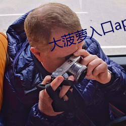 大菠蘿入口app下載汅