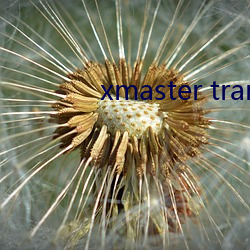 xmaster tranny （凶气）