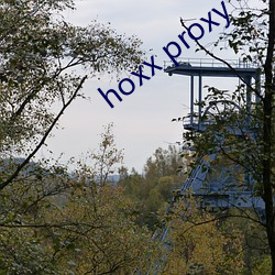 hoxx proxy