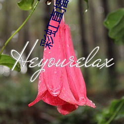彩虹直(直)播(播)下(下)载(載)app