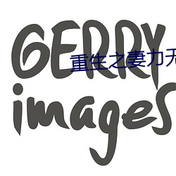 重生之妻力无穷 （八纮同轨）
