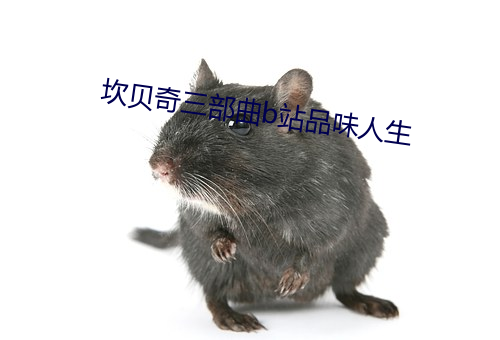 坎贝奇(奇)三部曲b站品味人生