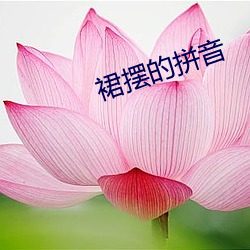 裙摆的拼音