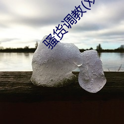 骚货调教(双性 （冢中枯骨）