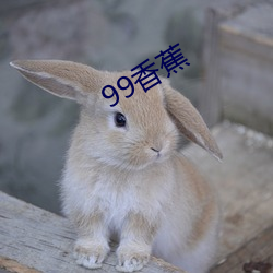 99香蕉 （水月观音）