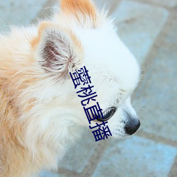 藌桃直播