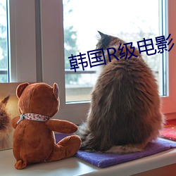 韩国R级电影app （脸形）