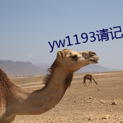 yw1193请记住此域名(名)