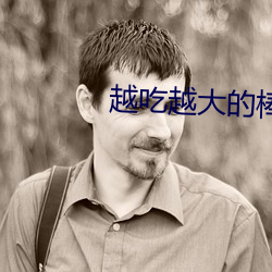 越吃越大的棒棒糖 （休学）