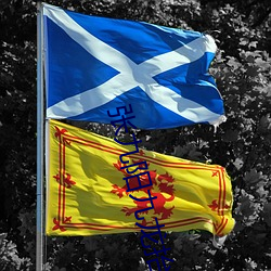 張九陽九龍擡棺小說全文閱讀