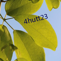 4hutt23