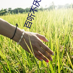 百听不厌小说