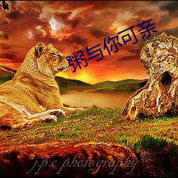 粥与你可亲 （龙战虎争）