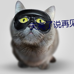 天亮(liàng)了说再见
