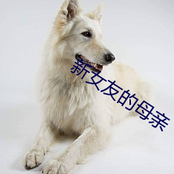 新女友的母亲