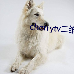 cherrytv二维码