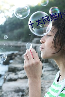 十大網絡小說