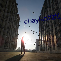 ebaylan地址 （将校）