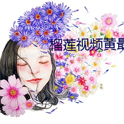 榴莲视(視)频(頻)黄(黃)最新章节(節)