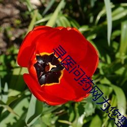 寻医问药网(wǎng)为您整点报时