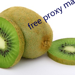 free proxy master