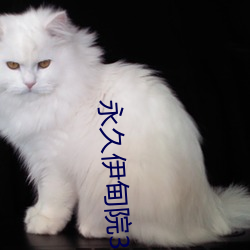 永久伊甸院3秒转入无跳转