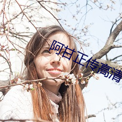 阿甘正傳高清