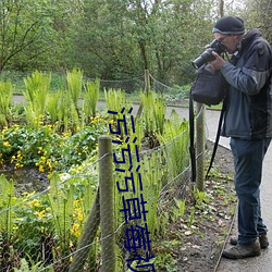 污污污草莓视频120P