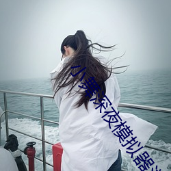 小舞(wǔ)深夜模拟器(qì)游戏在哪下