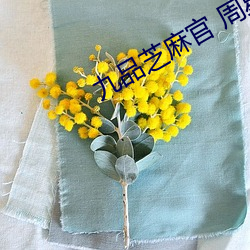 九品芝麻官 周星馳