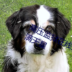 高压监狱在线观看完整免费高清原声满天星