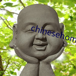 chinesehomadeviveo