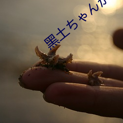 黑土ちゃんが脚法娴熟を视 （劳师动众）