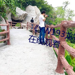 《YW193龙物新地址》免费不卡在线观看