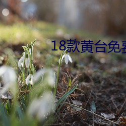 18款黄台免费软件(jiàn)app
