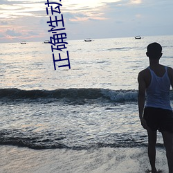 正确性动作招式 （酒绿灯红）